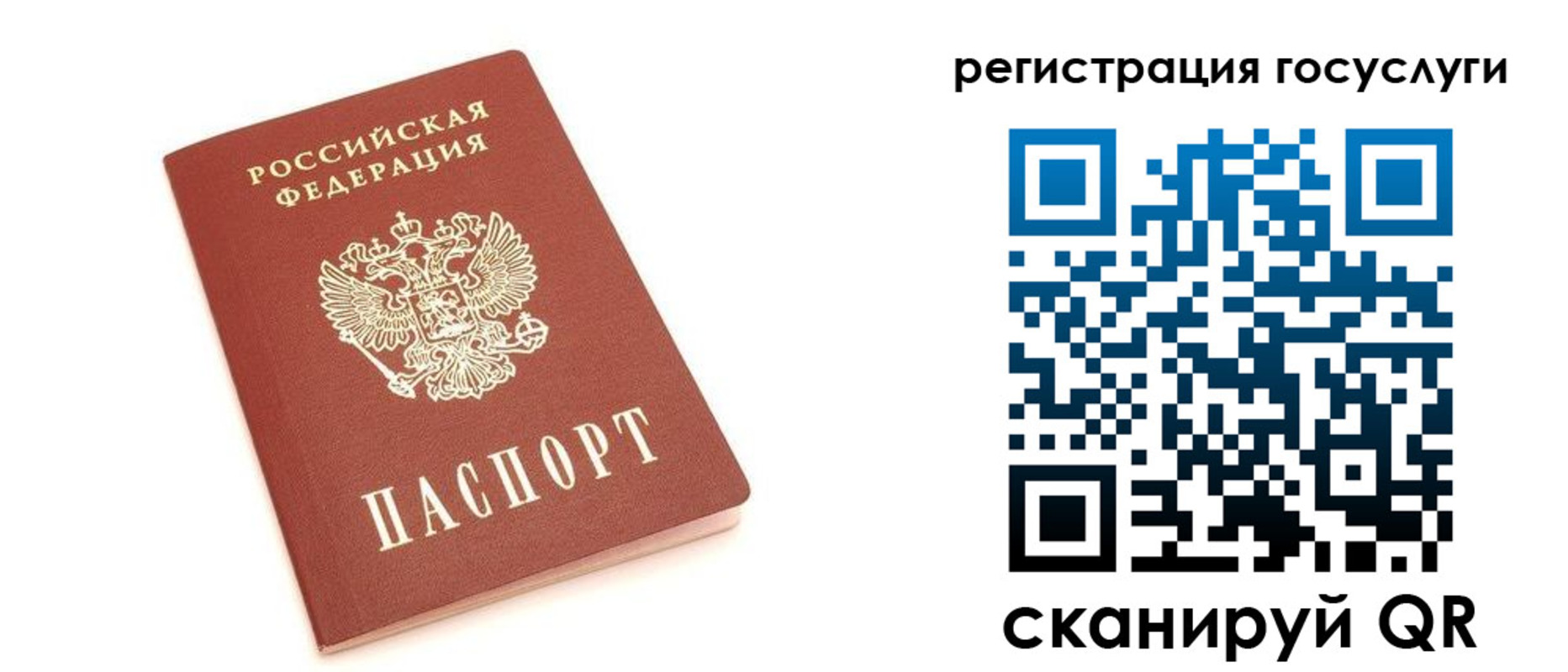 прописка 2025 в Полярном